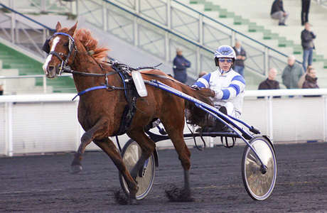 Actualités Hippiques